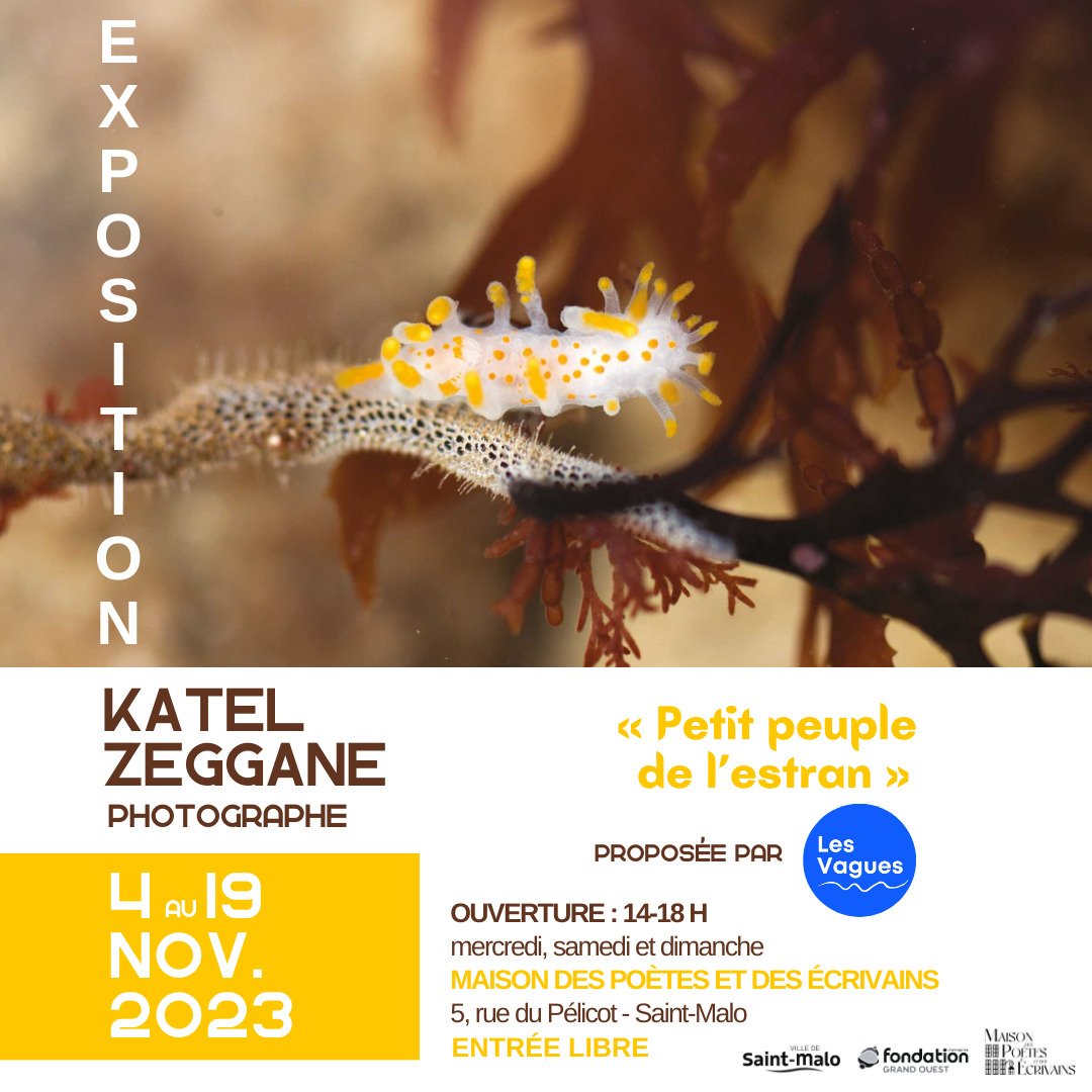 Exposition à la Maison des Poètes et des Écrivains en novembre 2023