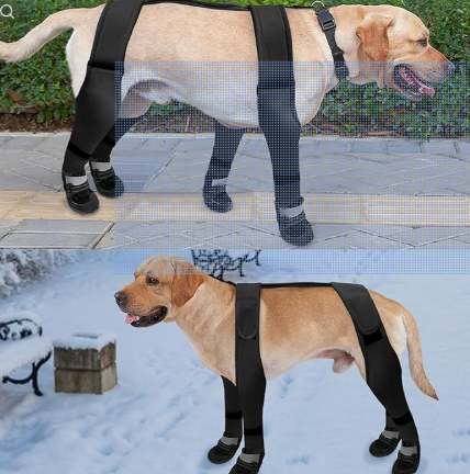 SlowTon Lot de 4 bottes imperméables pour chien avec bandes réfléchissantes et semelle en caoutchouc