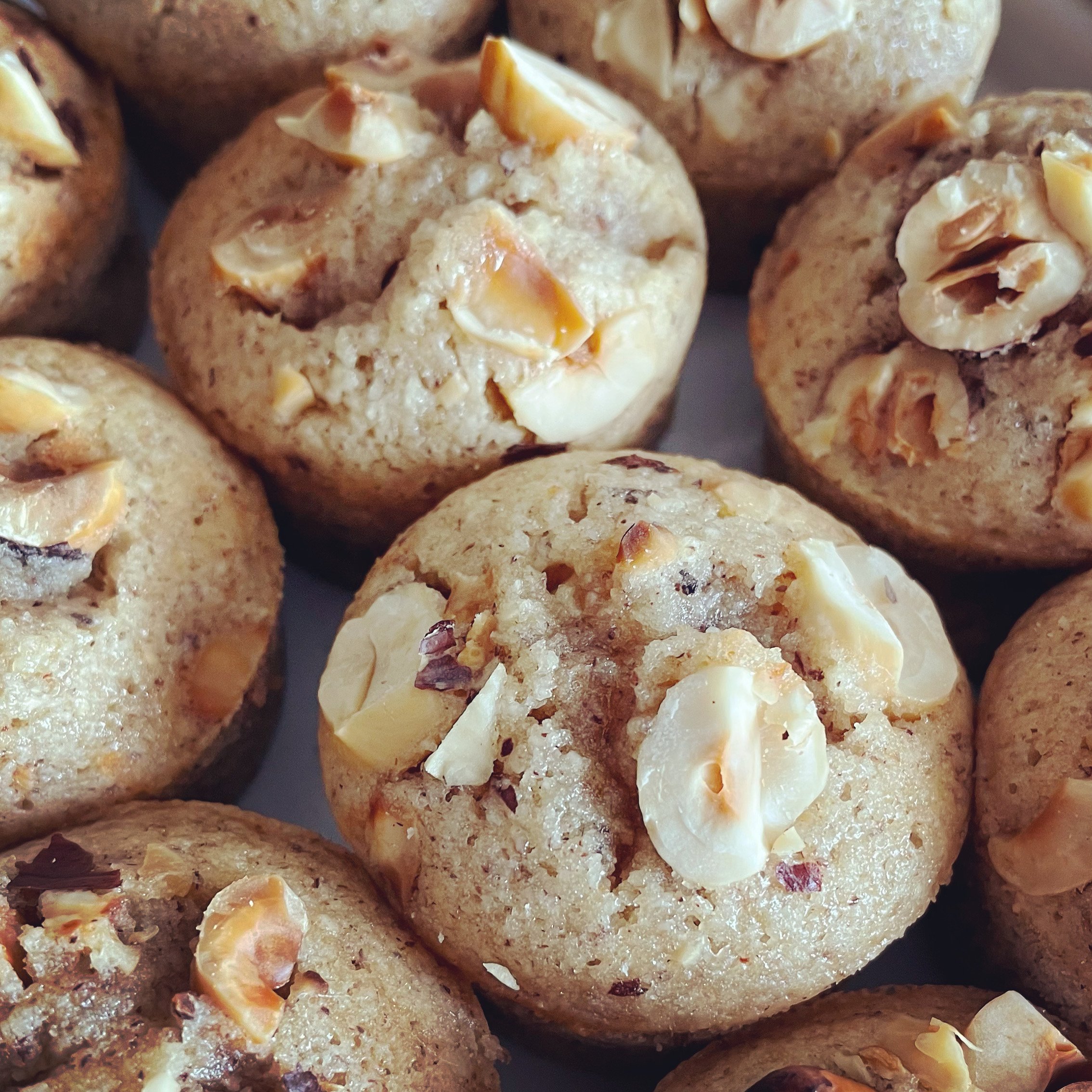 Financiers noisette
